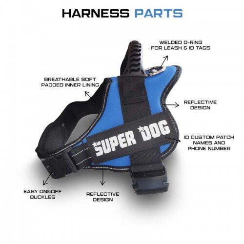 Edipets arnés ajustable y antitirones azul para perros thumbnail
