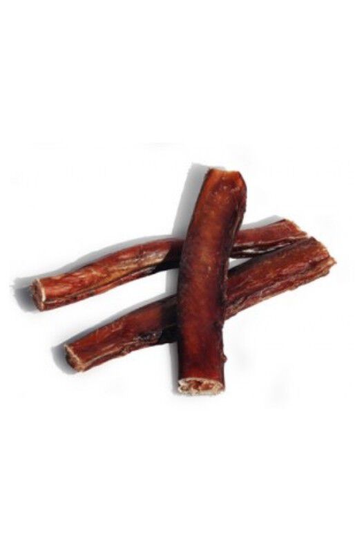 Hobbit Tendon de Buey para perros