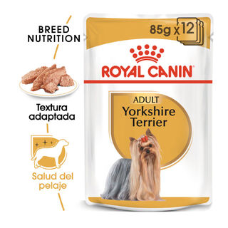 Royal Canin Yorkshire Terrier sobre para perros
