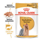Royal Canin Yorkshire Terrier sobre para perros , , large image number null