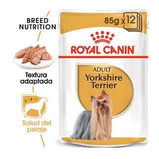 Royal Canin Yorkshire Terrier sobre para perros 