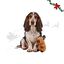 Wonder Christmas Capibara Peluche para perros, , large indicador imagen numero 1