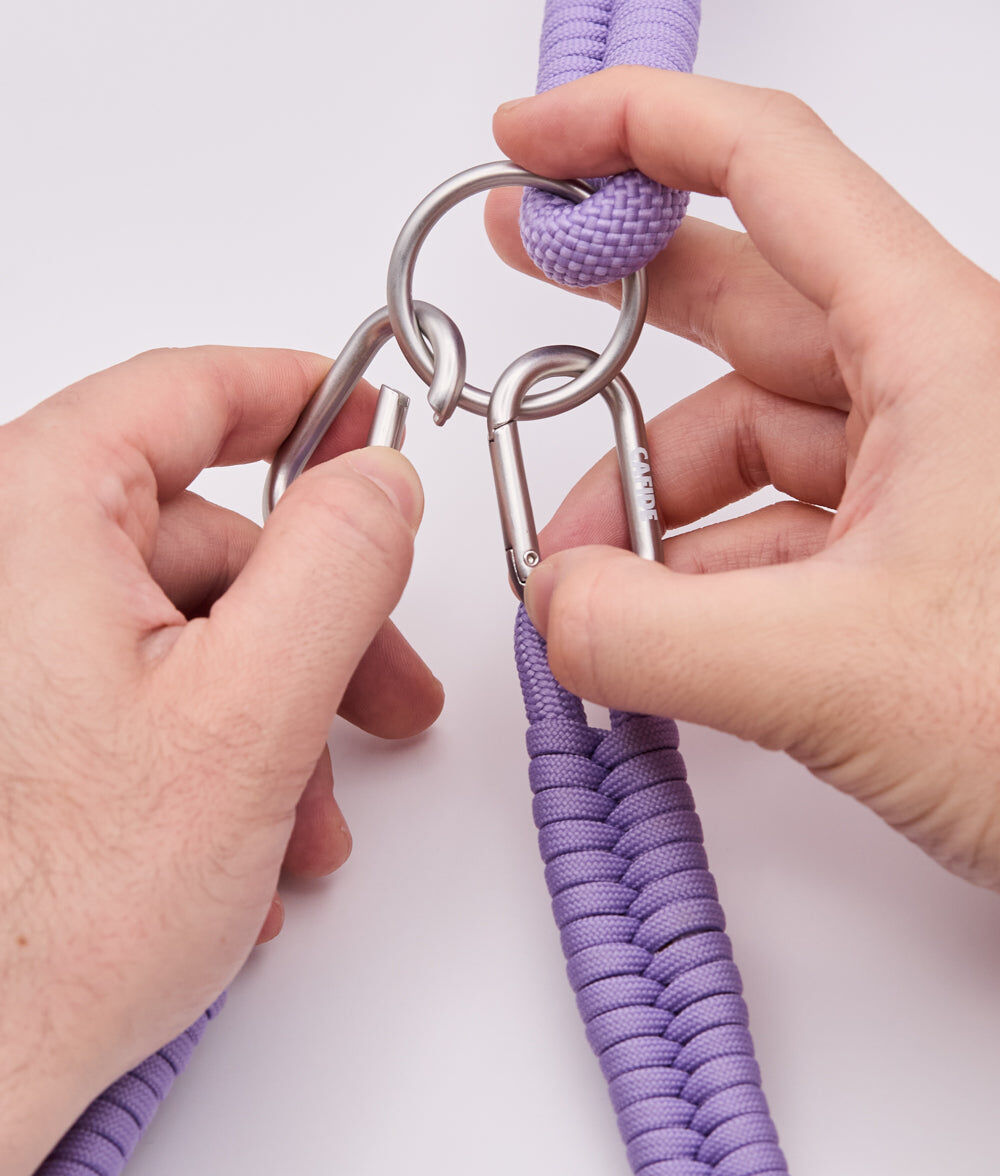 Correa multiposici&oacute;n, Ona, , large Imagen numero 4