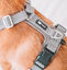 Arnés para Perro,Chaleco Antitirones con Anilla Frontal y Posterior,Ligero,Ajustable y Reflectante 3M Mascotas Cierre de Seguridad,Hebilla de Aluminio reforzado en cuello y Resistente al agua, , large indicador imagen numero 5