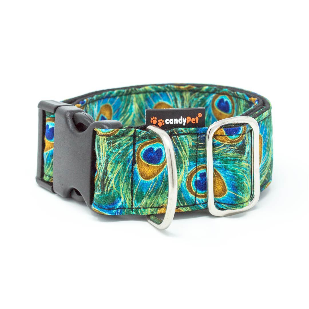 candyPet&reg; Collar Click para Perros - Modelo Multicolor, , large Imagen numero 1