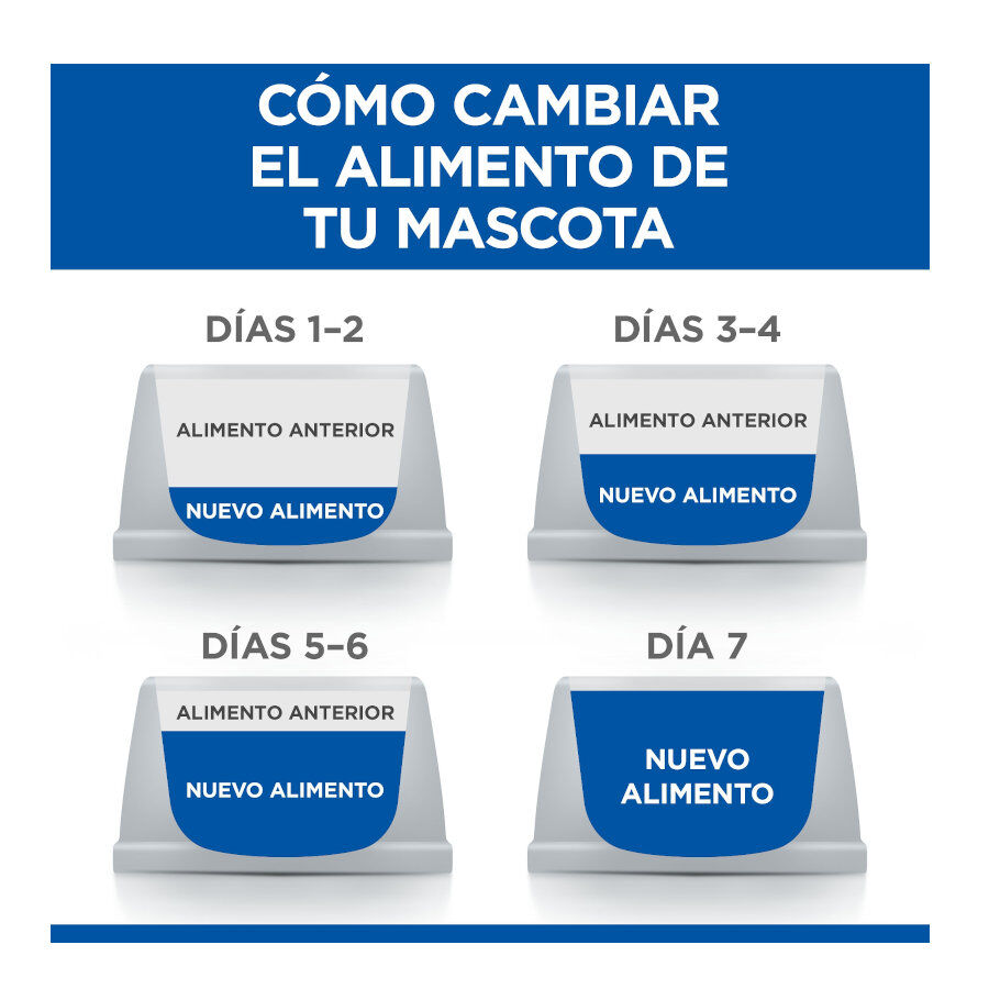 12 sobres x 85 g Hill's Science Plan Adult Pollo, Pescado Azul y Vacuno en Salsa sobre para gatos, , large Imagen numero 5