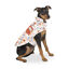 Outech Spring abrigo de flores para perros, , large indicador imagen numero 1