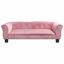 Cama Para Perro, , large indicador imagen numero 6