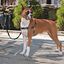 Arnés Easy Walk para perros color Negro, , large indicador imagen numero 4