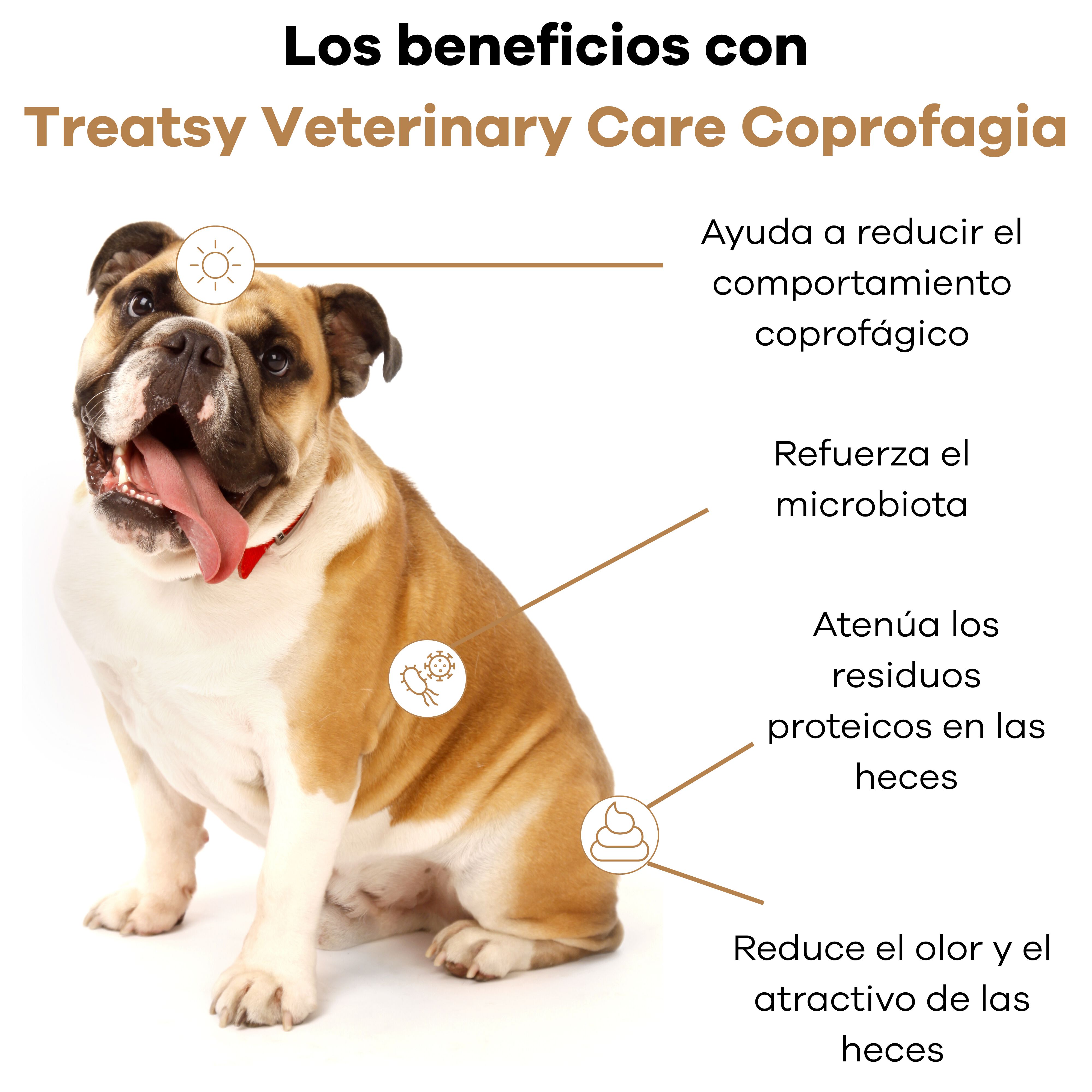 Treatsy Coprofagia Perro &ndash; Complemento Veterinario para Dejar de Comer Heces &ndash; Yucca, Probi&oacute;tico Enterococcus, MOS y Beta-Glucanos &ndash; 60 Snacks &ndash; Hipoalerg&eacute;nico, , large Imagen numero 3