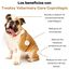 Treatsy Coprofagia Perro &ndash; Complemento Veterinario para Dejar de Comer Heces &ndash; Yucca, Probi&oacute;tico Enterococcus, MOS y Beta-Glucanos &ndash; 60 Snacks &ndash; Hipoalerg&eacute;nico, , large indicador imagen numero 3