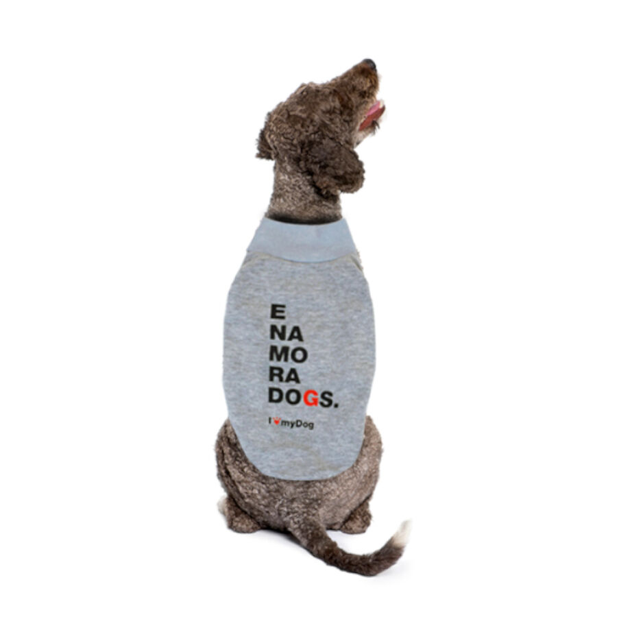 OutOutech San Valent&iacute;n Sudadera para perrosech San Valent&iacute;n Sudadera para perros Imagen numero 1