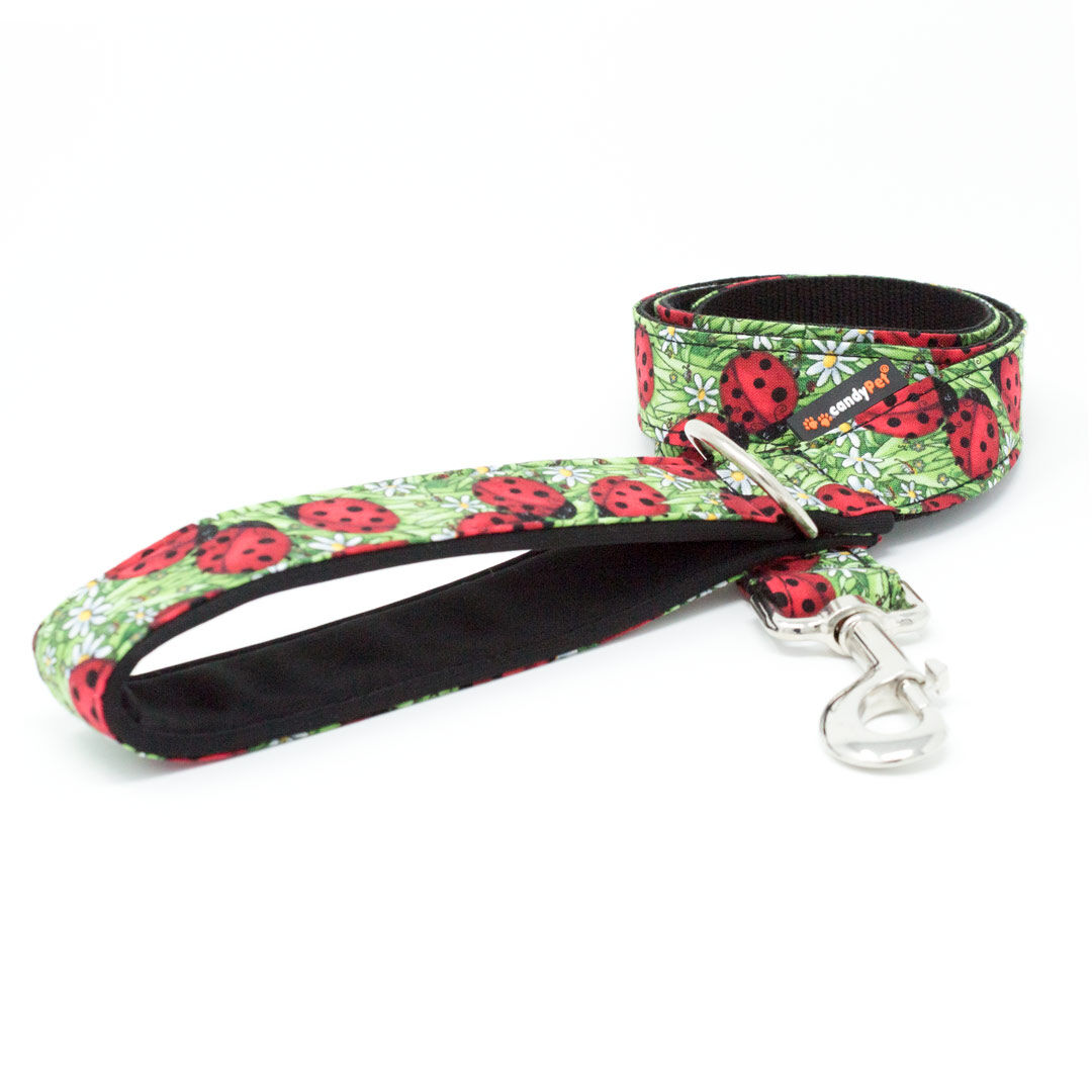 candyPet&reg; Correa para Perros - 120 cm con Asa acolchada - Modelo Mariquitas, , large Imagen numero 1