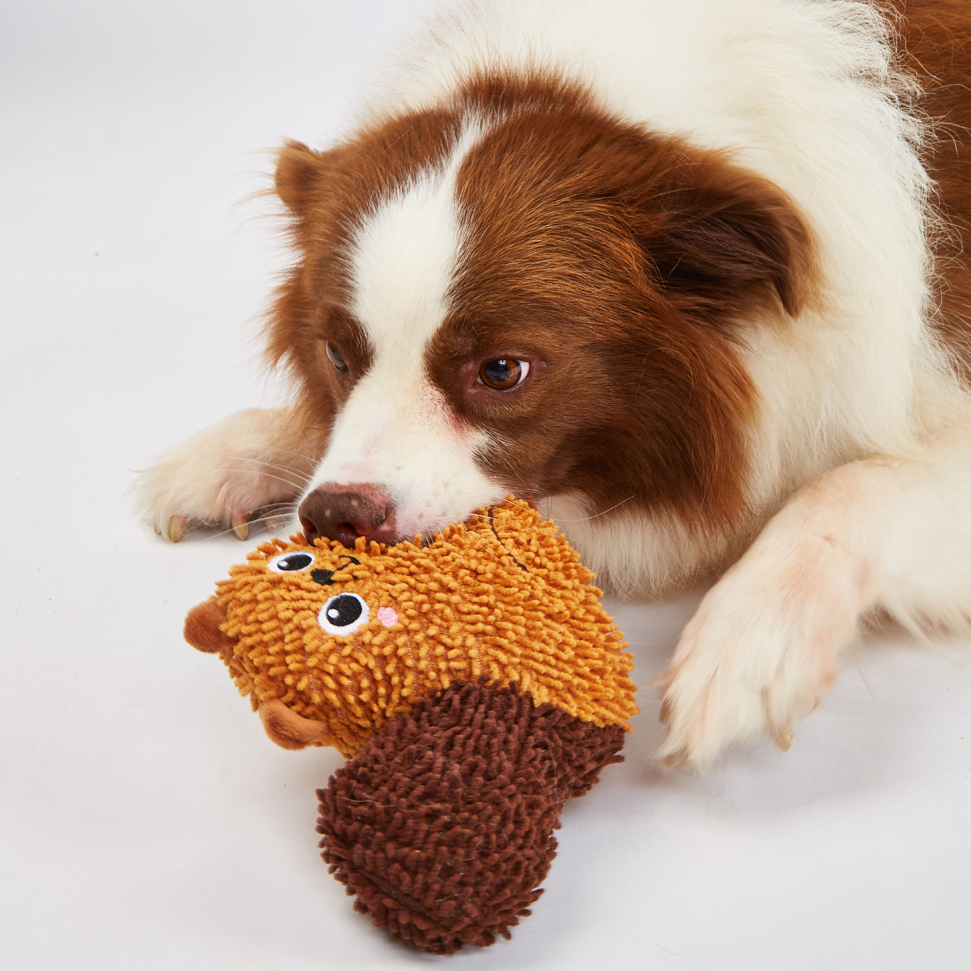 Juguete Resistente para Perro &ndash; Ardilla (Tama&ntilde;o Peque&ntilde;o), , large Imagen numero 2