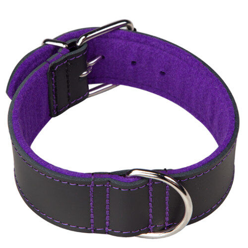 Arppe Superfelt Choppers collar para perros Imagen numero 1