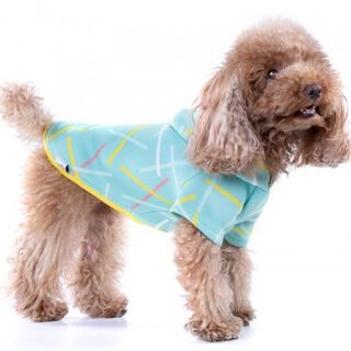 Suéter Chispa Neosticks para perros color Verde claro