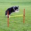 Set de entrenamiento para perros color Rojo y Amarillo, , large indicador imagen numero 4