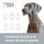 PSH Sensitive Skin Champú para perros y gatos, , large indicador imagen numero 4
