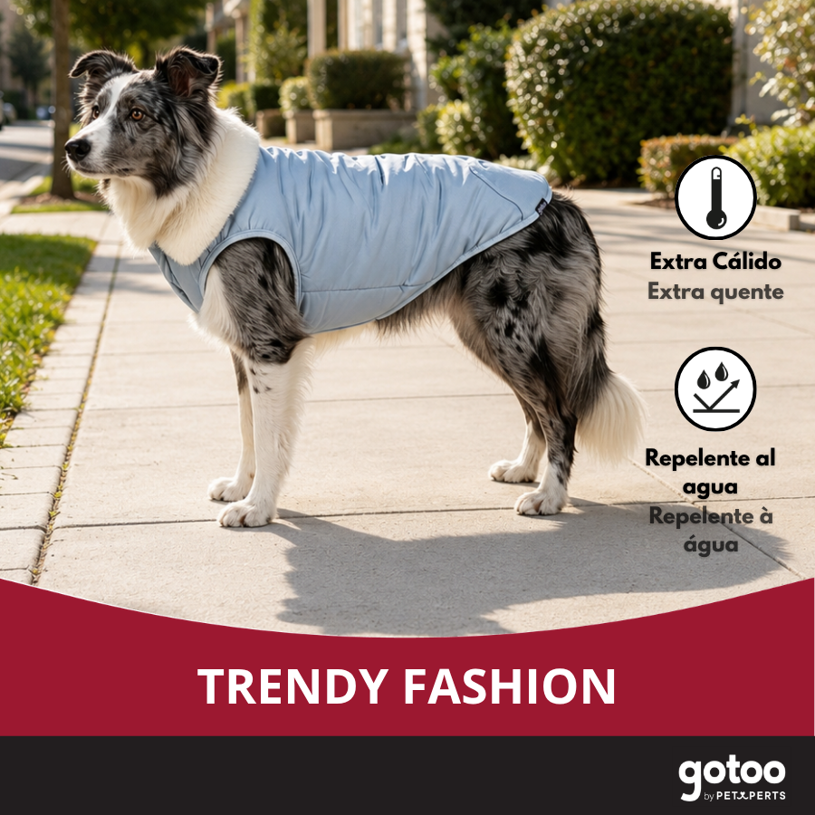 Gotoo Abrigo Azul Claro para perros, , large Imagen numero 6