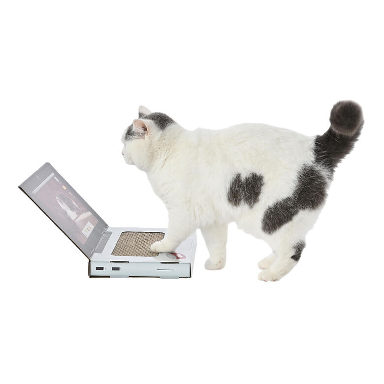 Leeby Lola rascador de cartón en forma de ordenador para gatos thumbnail