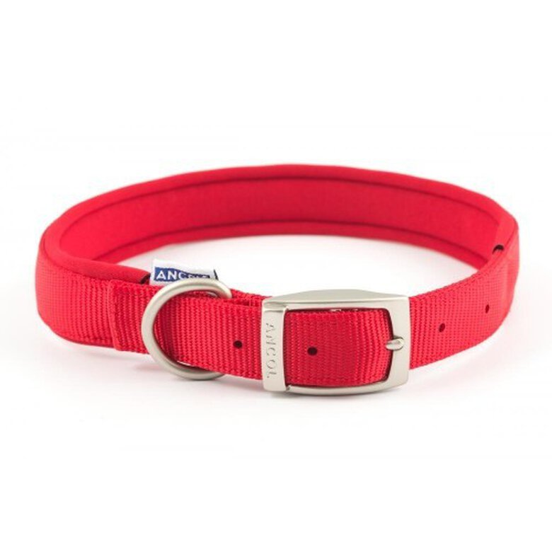 Collar de nylon con neopreno para perros color Rojo, , large image number null