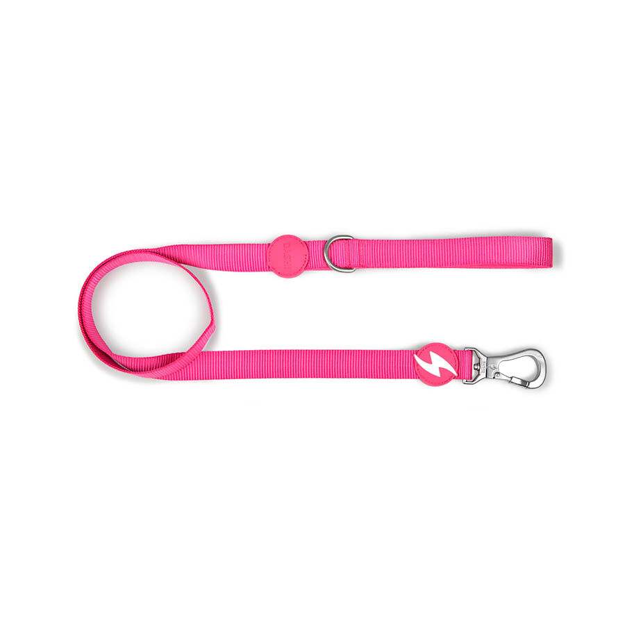 Correa de nylon para perro color Rosa, , large Imagen numero 1