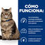 12 sobres x 85 g Hill's Prescription Diet Feline GI Biome Digestive Care Pollo y Verduras Sobre en salsa, , large indicador imagen numero 2