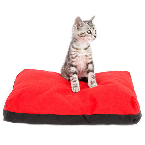 Tk pet cama best sale