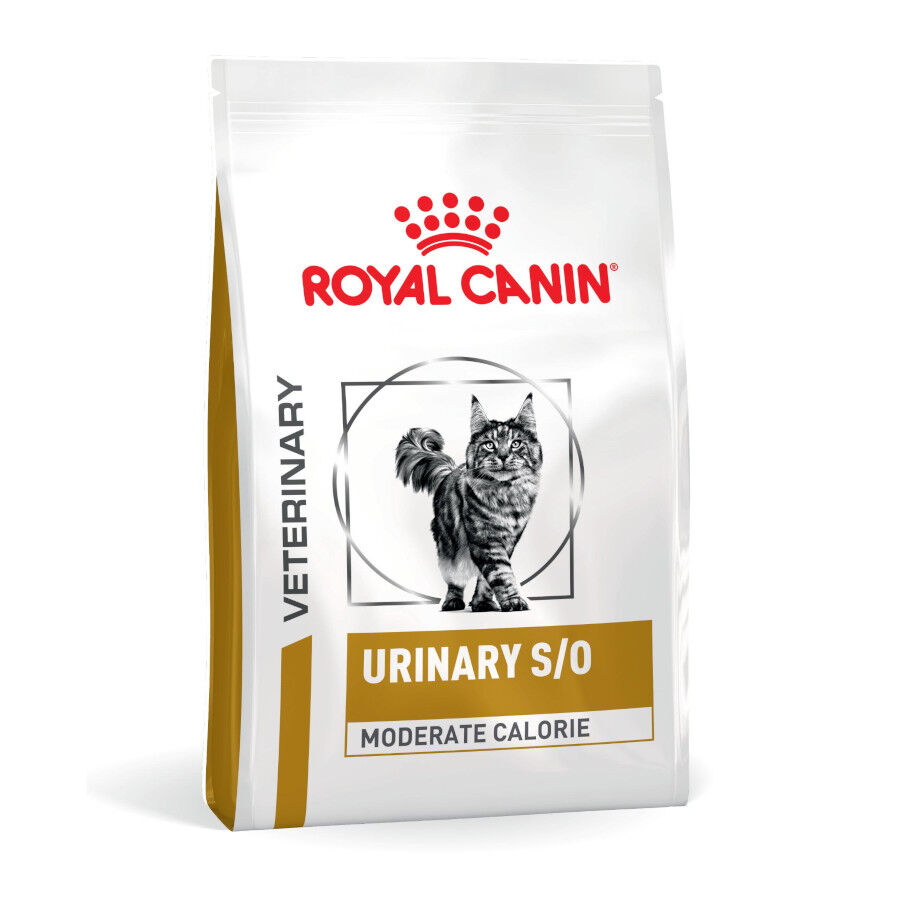 1.5 kg Royal Canin Veterinary Urinary S/O Moderate Calorie pienso para gatos, , large Imagen numero 1