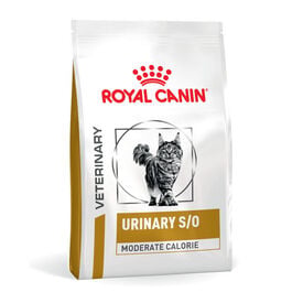 Royal Canin Veterinary Urinary S/O Moderate Calorie pienso para gatos