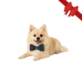 Wonder Christmas Pajarita Navideña Azul para perros