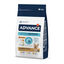 1.5 kg Advance Active Defense Yorkshire Terrier Adult pienso para perros, , large indicador imagen numero 1
