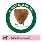 Affinity Libra Adult Salmón pienso para perros, , large image number null