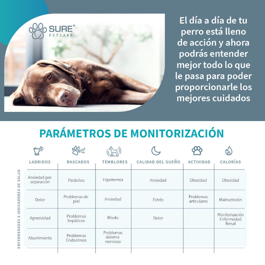 Sure Petcare Animo monitor de Conducta para perros, , large Imagen numero 6