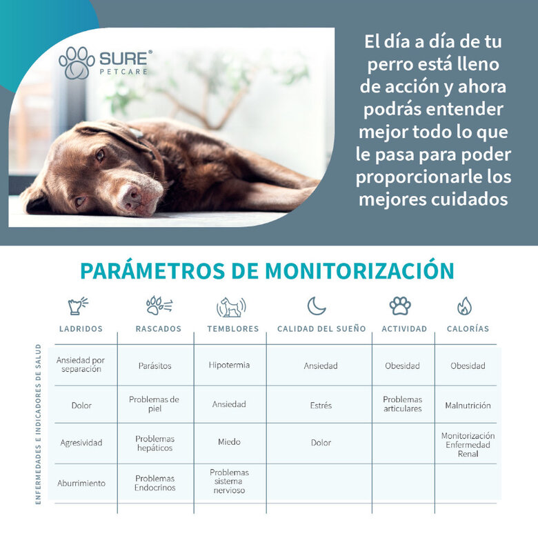 Sure Petcare Animo monitor de Conducta para perros, , large image number null
