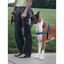 Pet Safe Easy Walk Deluxe Arnés Azul para perros, , large indicador imagen numero 2