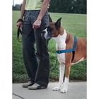 Pet Safe Easy Walk Deluxe Arnés Azul para perros, , large image number null