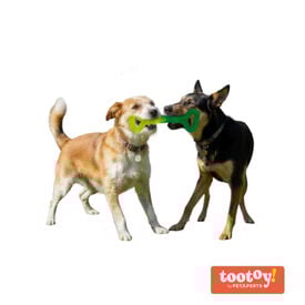 Tootoy! Mordedor Grill and Pull Verde para perros