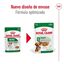 85 g Royal Canin Mini Adult sobre en salsa para perros, , large indicador imagen numero 2