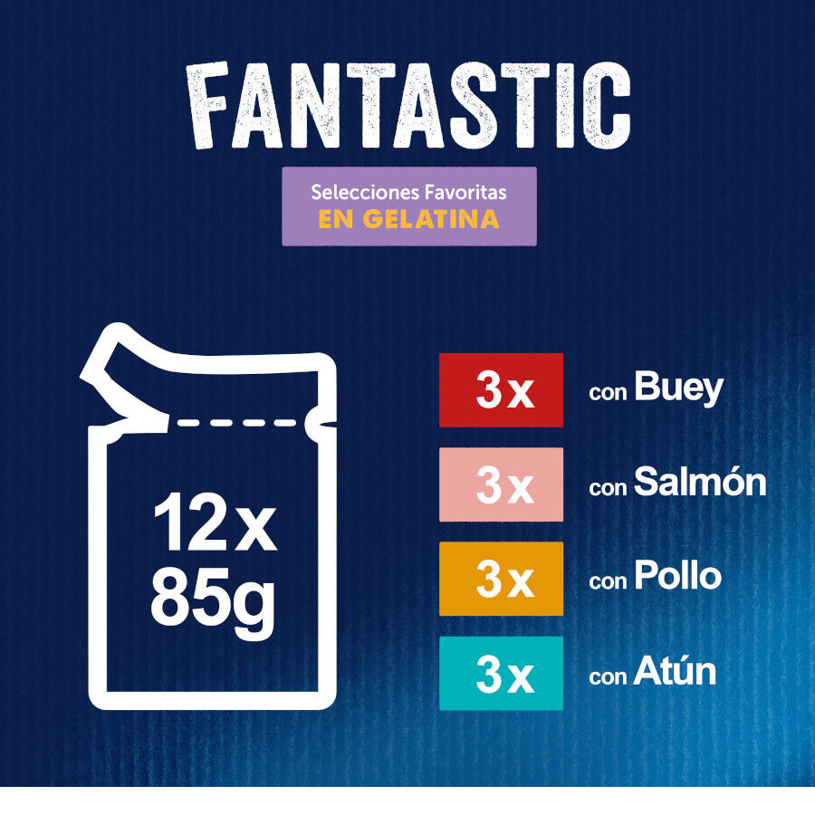 Felix Fantastic Selecciones Favoritas sobres en gelatina thumbnail