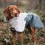 Non-stop Dogwear Chubasquero Impermeable Gris para perros, , large indicador imagen numero 2