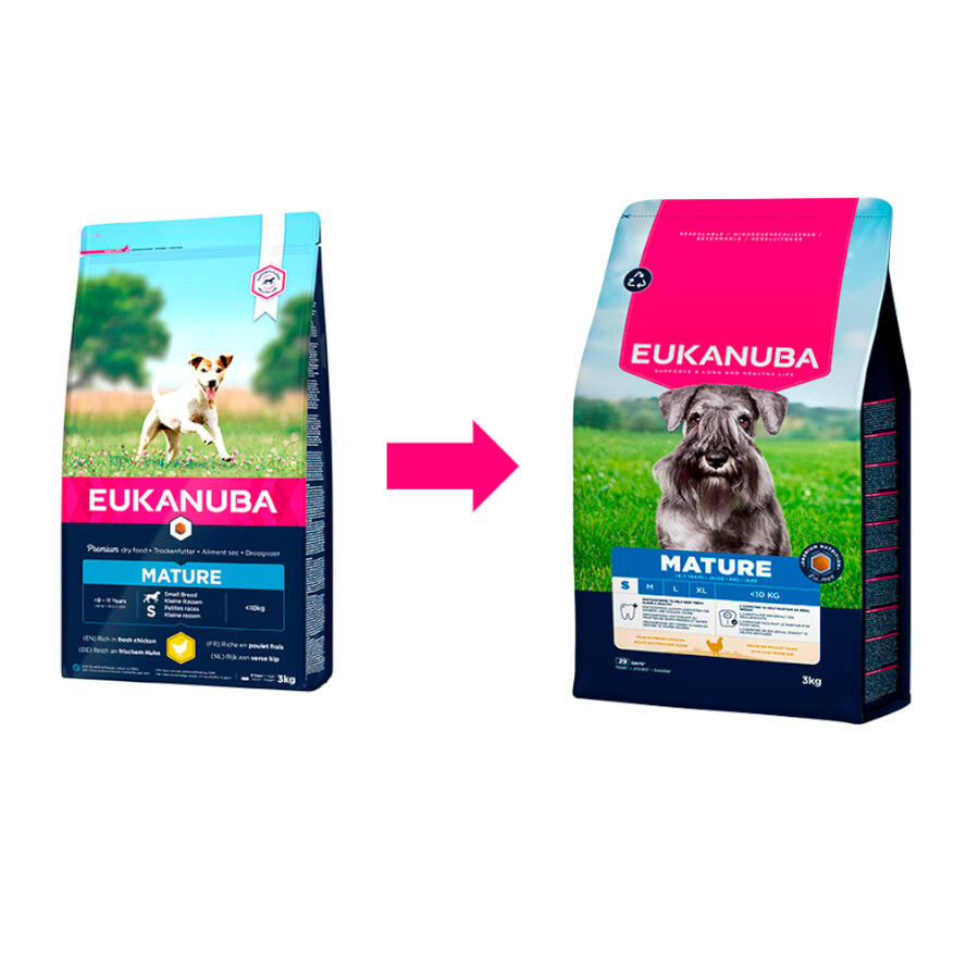 3 kg Eukanuba Mature&Senior Small Pollo pienso para perros, , large Imagen numero 1
