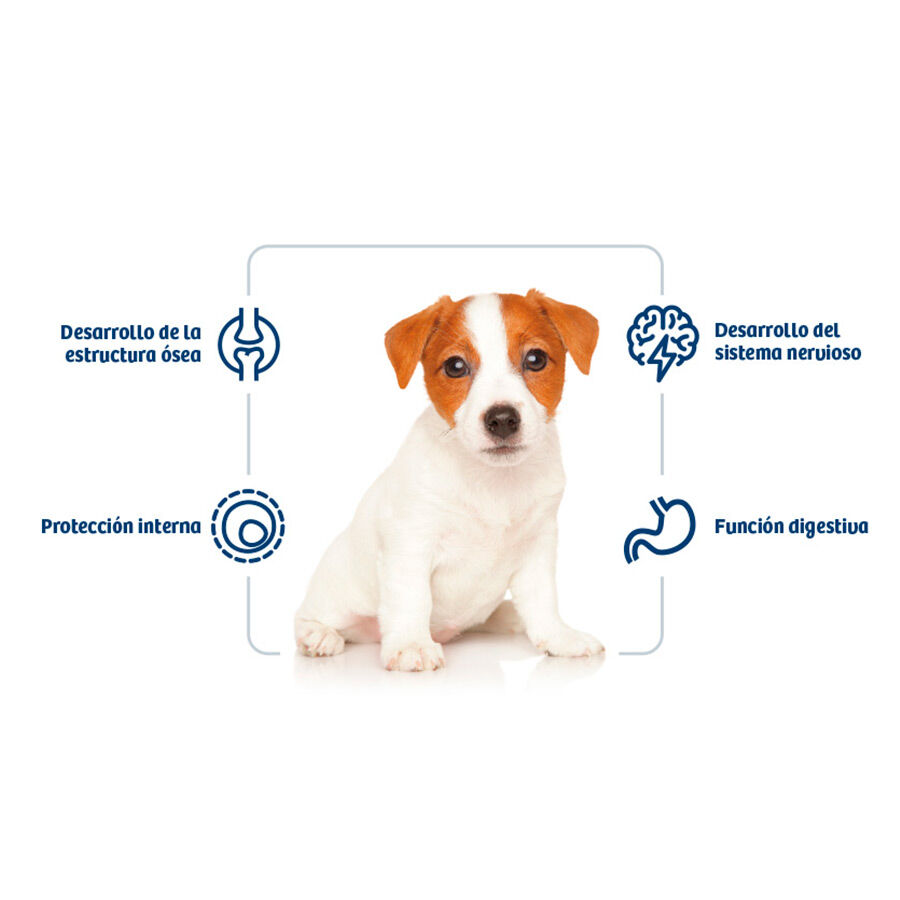 3 kg Nath Puppy Mini Pollo pienso para perros, , large Imagen numero 2