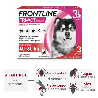 Frontline Tri-Act Pipetas Antiparasitarias para perros 40 - 60 kg