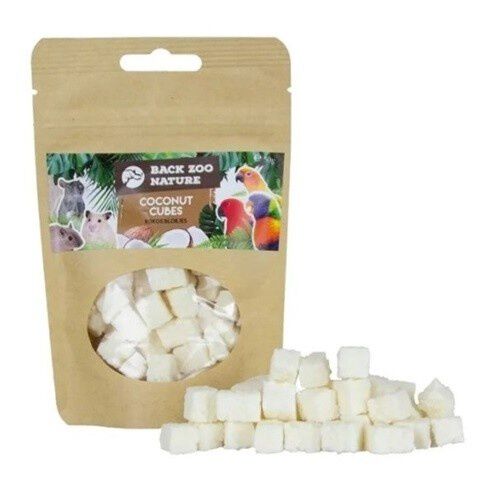 Cooltoys snack con forma de dados deshidratado sabor coco para loros, , large Imagen numero 1