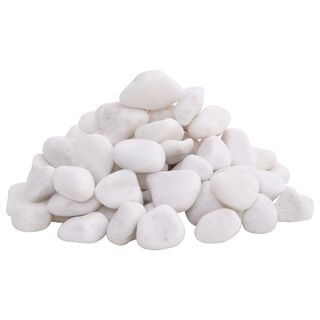 VidaXL Guijarros Pulidos 2-5 cm blanos para acuarios