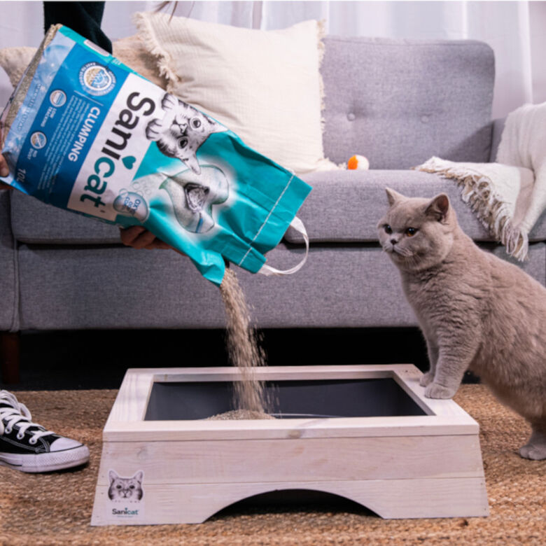 Sanicat Marsella Arena Aglomerante para gatos thumbnail