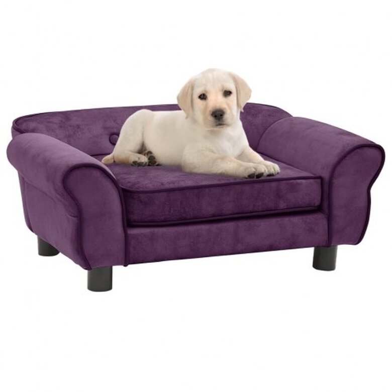 Sofá clásico para perros color Púrpura, , large image number null