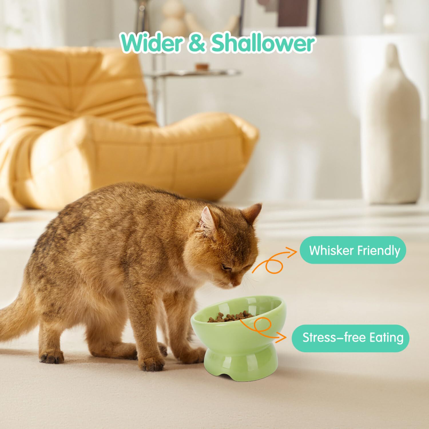 Nobleza - Comedero Cer&aacute;mica para Gatos, Comedero para Gatos Elevado con Inclinaci&oacute;n de 15&deg;, Reducir la Presi&oacute;n del Cuello y Prevenir los V&oacute;mitos, Comedero Gato para Gatos y Cachorros, Verde, , large Imagen numero 5