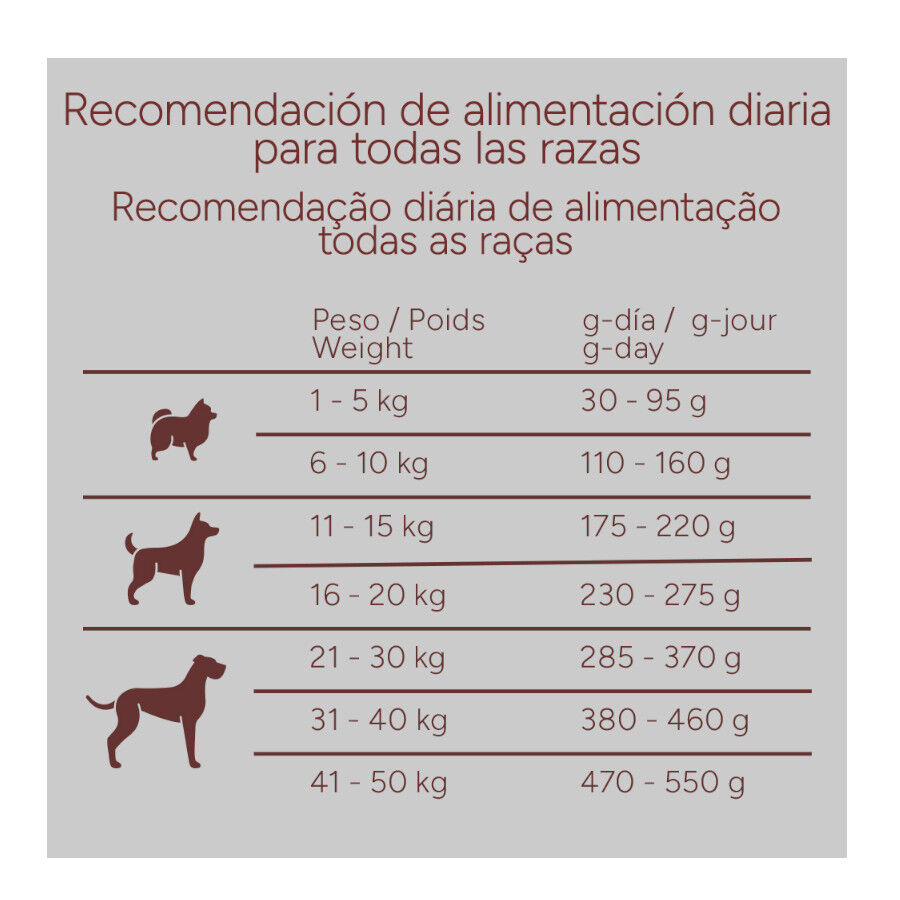 10 kg Criadores Monoproteico Light -40% contenido graso Adulto con Pollo pienso para perros, , large Imagen numero 10